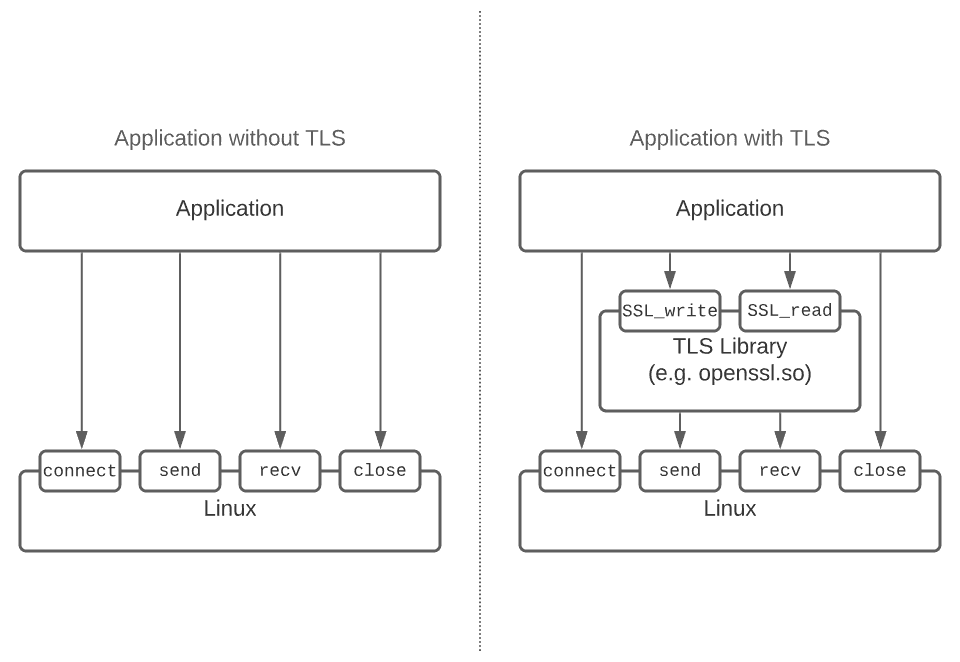 Difference between application with and without TLS